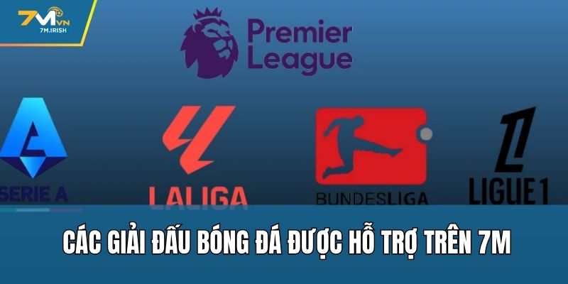 Các giải đấu bóng đá được hỗ trợ trên 7M